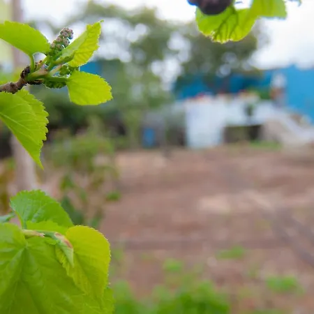 La Huerta De Manuel 度假居 *