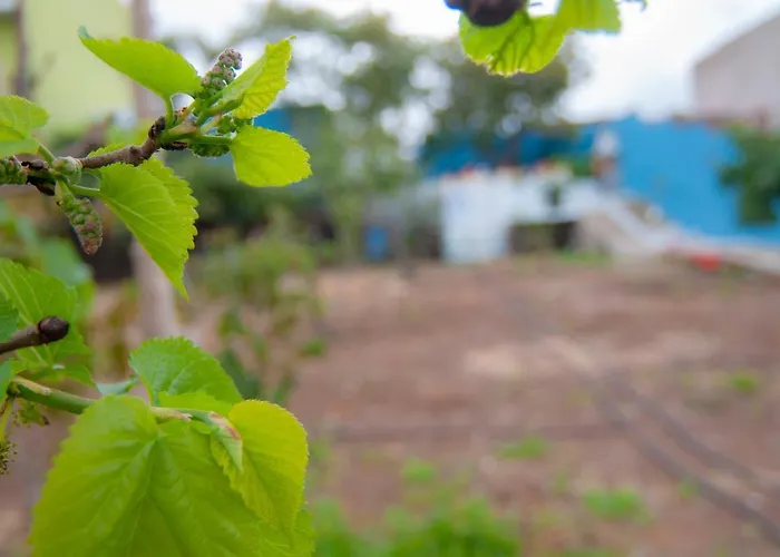 La Huerta De Manuel Holiday home *